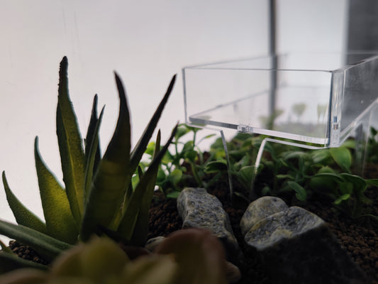 Transparentes Aquakallax Futterpodest auf Standbeinen zwischen Pflanzen und Steinen