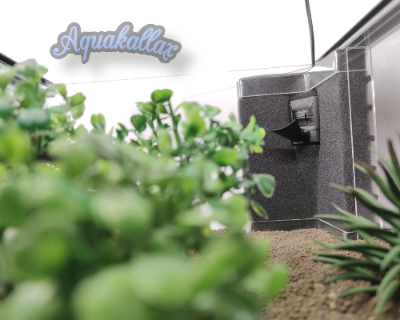 Aquakallax Konkav-Innenfilter im hinteren Eck eines Kallax-Aquariums mit Pflanzen im Vordergrund und schwarzem Strömungsaufsatz