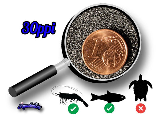 Porenstruktur der Classic-HMF-Ersatzmatte mit 30 ppi, Ein-Cent-Münze als Größenvergleich und Symbolen für Garnelen und Fische