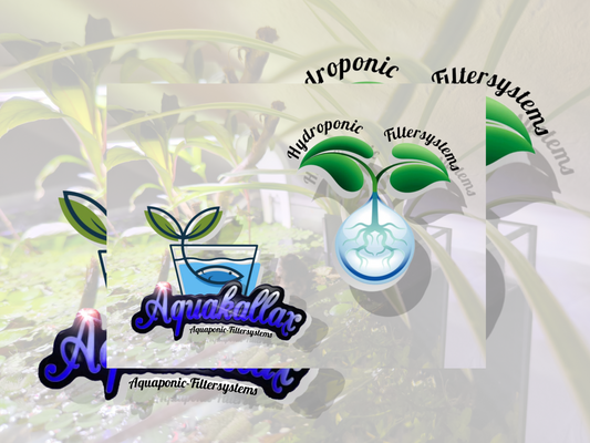 Was ist Aquaponic und Hydroponic...und wo ist der Unterschied?