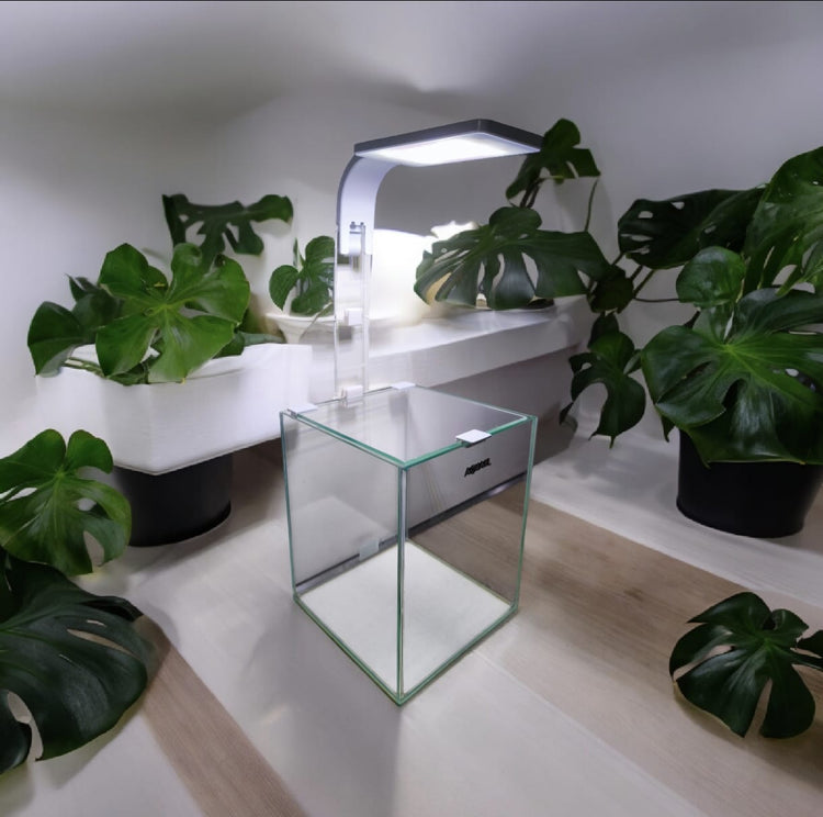 LED Lifter - Lampenerhöhung für Aufsteckleuchten