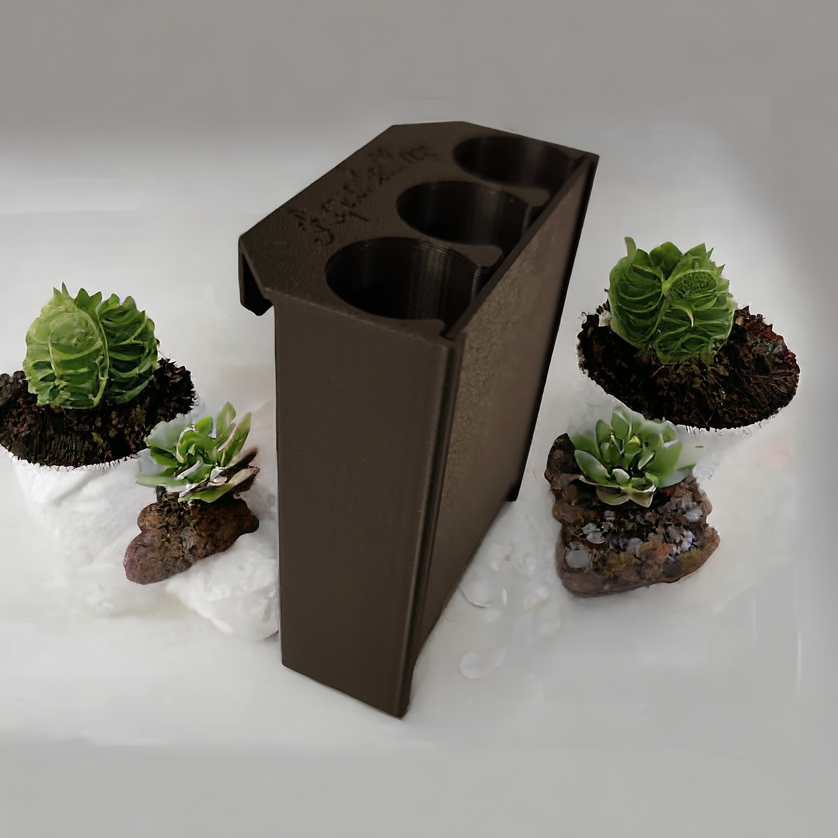 Schwarzer Aquakallax Aquaponic Hang-On Pflanzenträger mit drei runden Pflanzöffnungen in schräger Ansicht zwischen kleinen Pflanzen