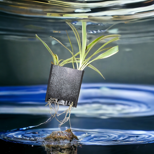Schwarzer Aquakallax Aquaponic Pflanzenträger mit grüner Pflanze und unten herausragenden Wurzeln vor blauem Wasserhintergrund