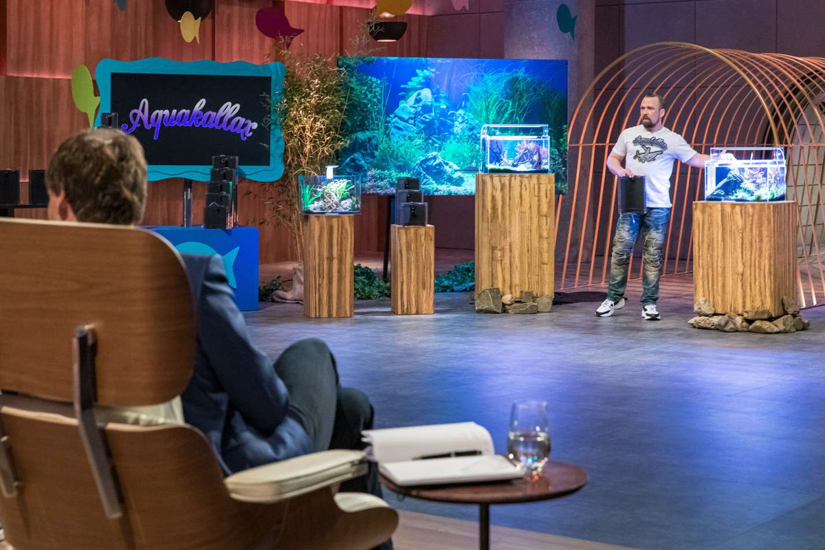 Dennis Vietze präsentiert Aquakallax-Aquariumfilter vor Carsten Maschmeyer bei „Die Höhle der Löwen“. Foto: RTL / Bernd-Michael Maurer