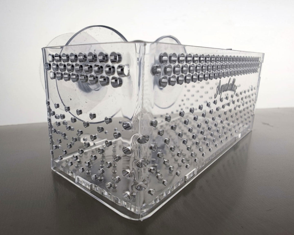 Eckdetail der transparenten Aquakallax Bucen-Box mit gelochten Seitenwänden und sichtbaren Saugnäpfen