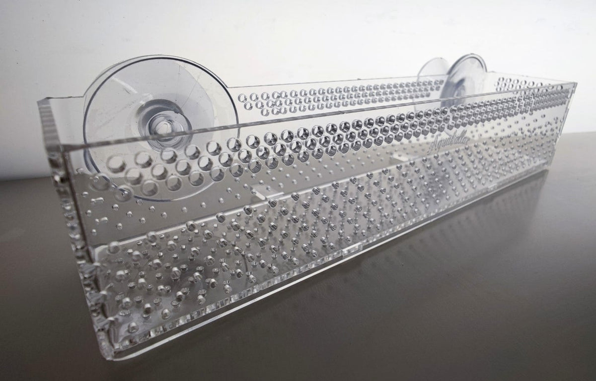 Lange transparente Aquakallax Bucen-Box mit gelochter Front und zwei Saugnäpfen in Produktansicht
