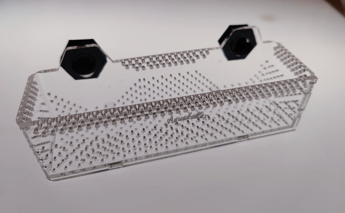 Transparente Aquakallax Bucen-Box Größe M mit perforiertem Boden und zwei schwarzen Magnethaltern für Aquarienpflanzen
