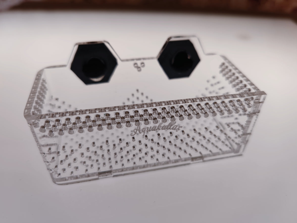 Transparente Aquakallax Bucen-Box Größe S mit perforierten Wänden und zwei schwarzen Magnethaltern für Aquarienpflanzen