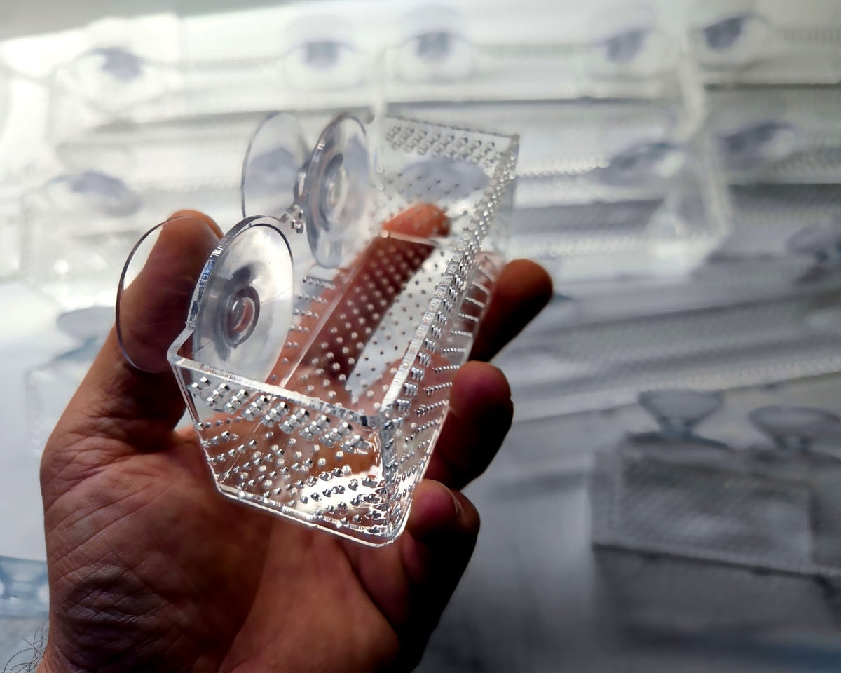 Aquakallax Bucen-Box in seitlicher Nahansicht mit gelochtem Boden und zwei Saugnäpfen