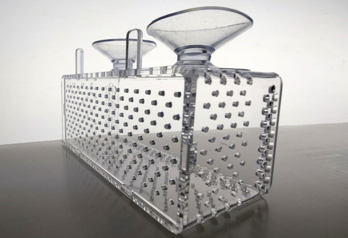 Aquakallax Bucen-Box in schräger Unteransicht mit gelochtem Boden und zwei Saugnäpfen
