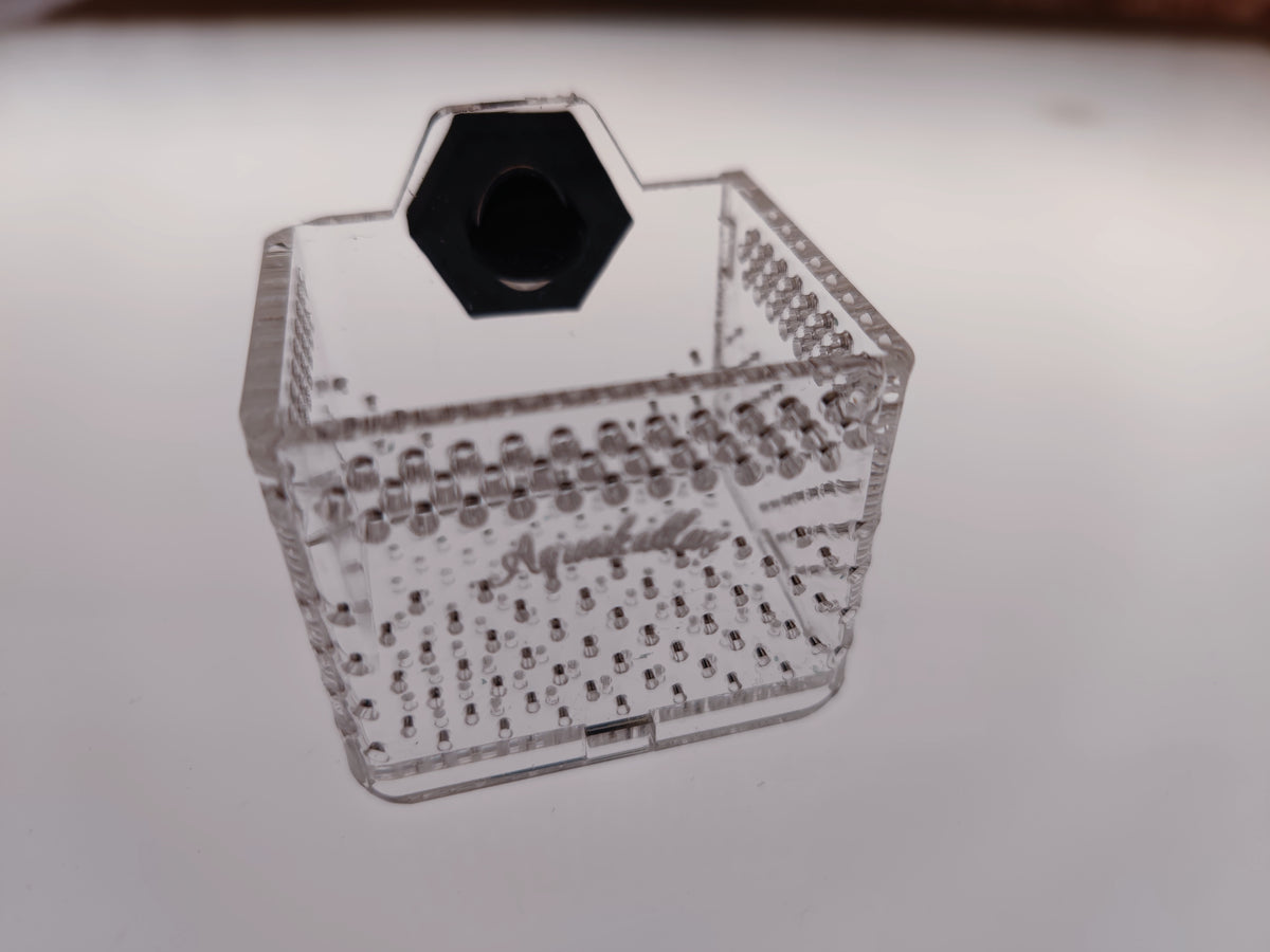 Transparente Aquakallax Bucen-Box Größe XS mit perforierten Wänden und schwarzer Magnetbefestigung für Aquarienpflanzen
