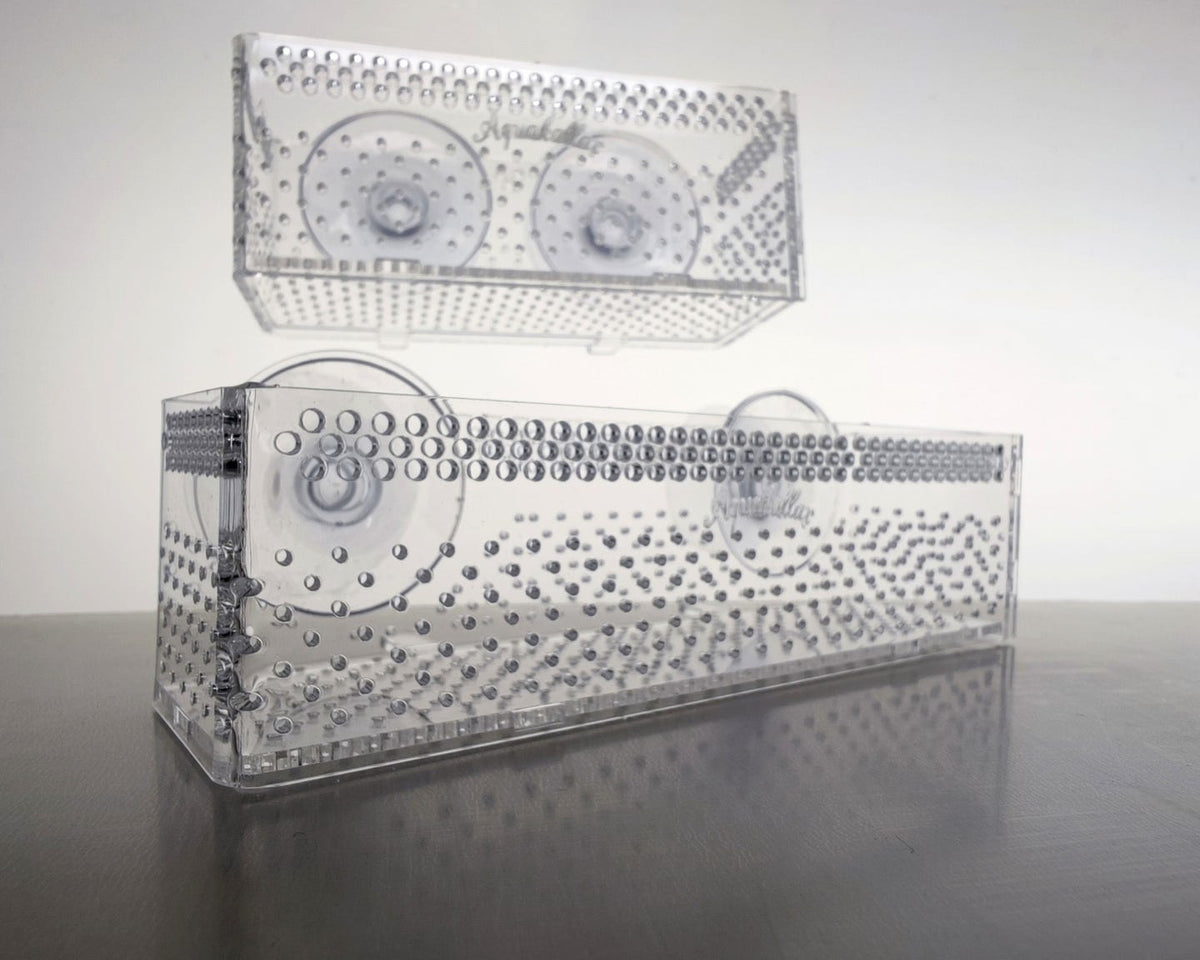 Zwei unterschiedlich große transparente Aquakallax Bucen-Boxen mit Saugnäpfen im Vergleich