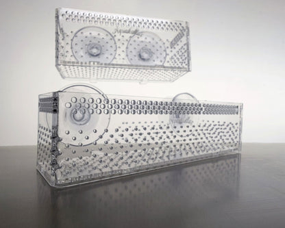 Zwei unterschiedlich große transparente Aquakallax Bucen-Boxen mit Saugnäpfen im Vergleich