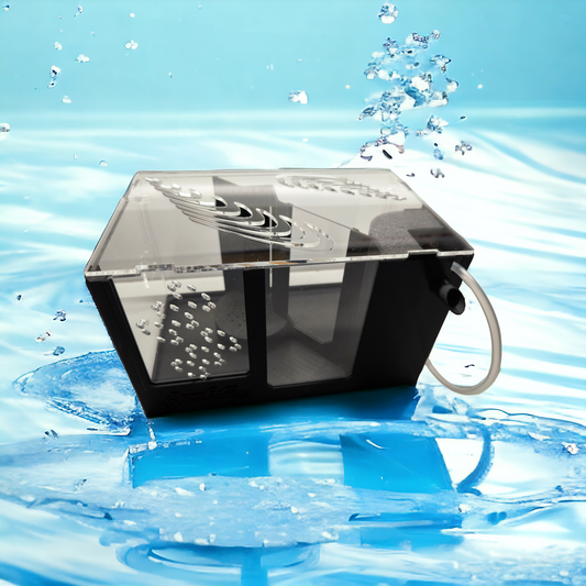 Aquakallax Premium HMF Ablaichbox mit transparentem Deckel, schwarzem Rahmen und Luftschlauch vor blauem Wasserhintergrund