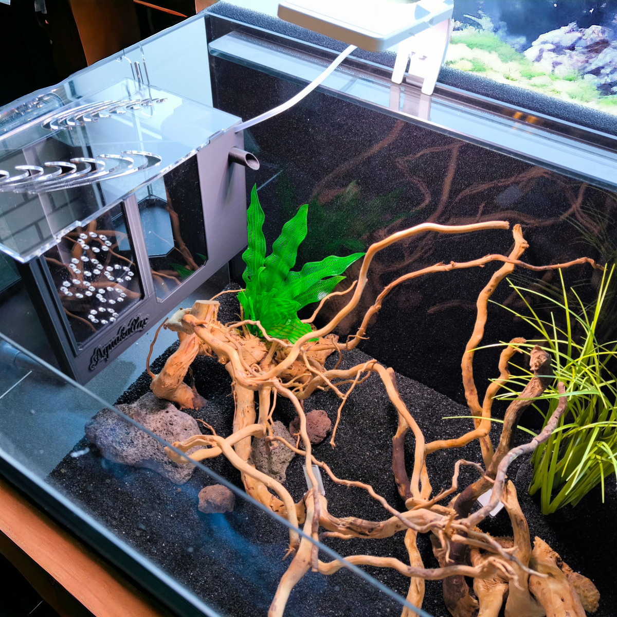 Aquakallax HMF Ablaichbox mit angeschlossenem Luftschlauch am Aquarienrand, Ansicht von oben über Pflanzen, Steinen und Wurzeln