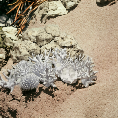 Verschiedene weiße Aquakallax Magnetic Coral Fragträger mit verzweigten, schalenförmigen und stabförmigen Strukturen auf Sand vor Steinen