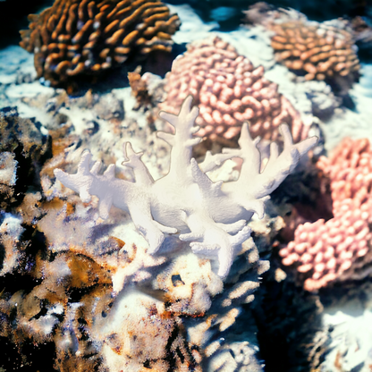 Weißer Aquakallax Magnetic Coral Fragträger in verzweigter Schalenform zwischen rosa und orangefarbenen Korallen