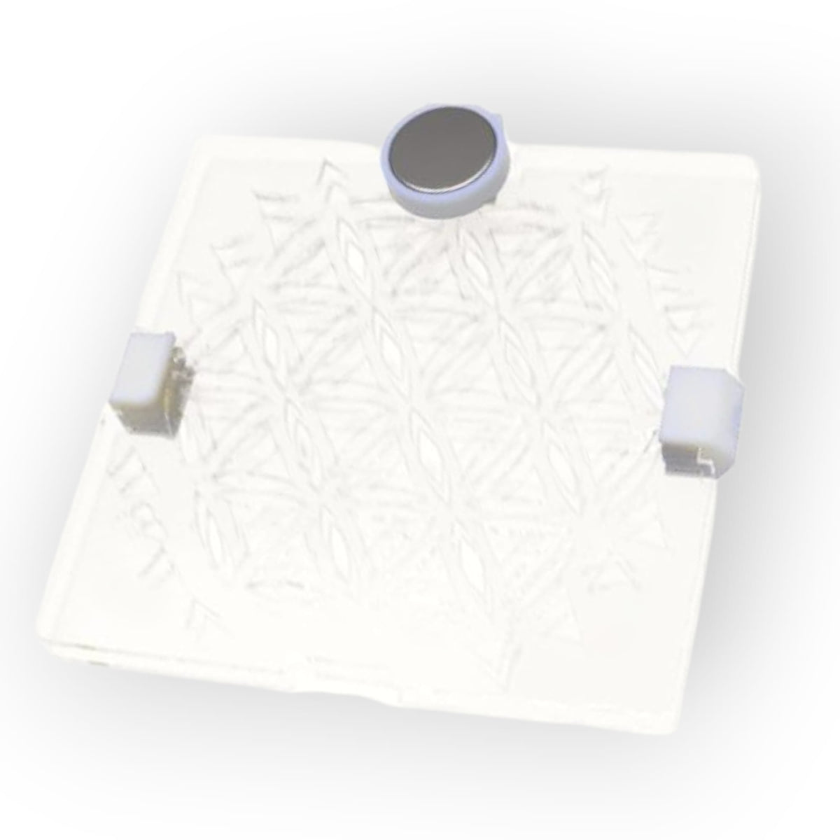 Aquakallax modulares Moosgitter-Grundmodul mit transparenter Gitterfläche, seitlichen Clips und runder Magnetbefestigung