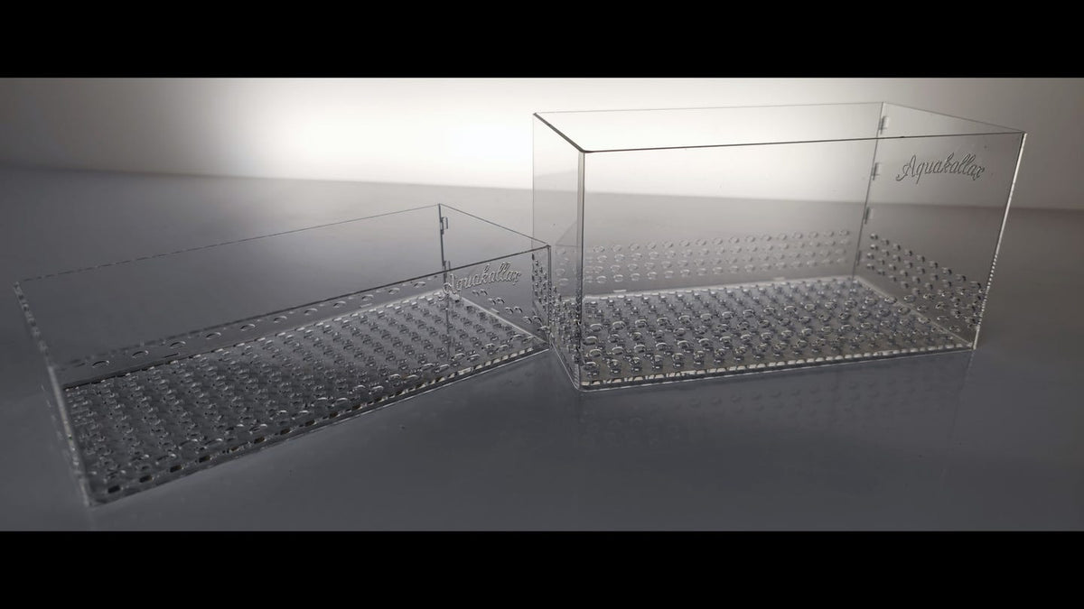 Aquakallax Pflanzenbox Größe L mit 20 × 10 cm Grundfläche in zwei Höhen mit transparenten Wänden und gelochtem Boden