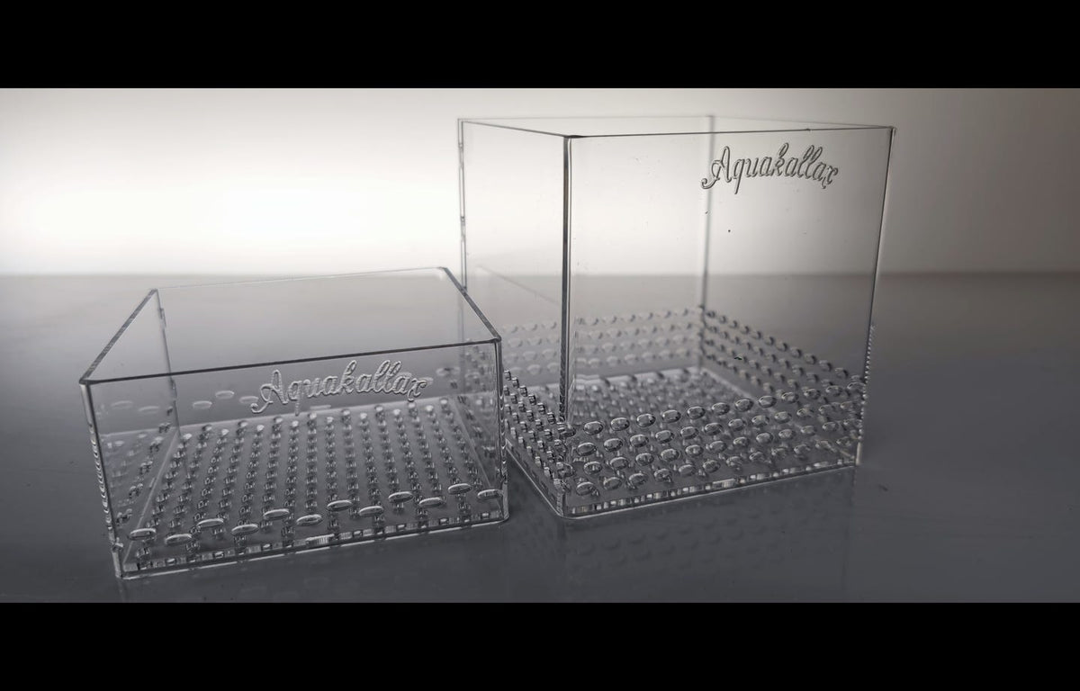 Aquakallax Pflanzenbox Größe S mit 10 × 10 cm Grundfläche in zwei Höhen mit gelochten Böden