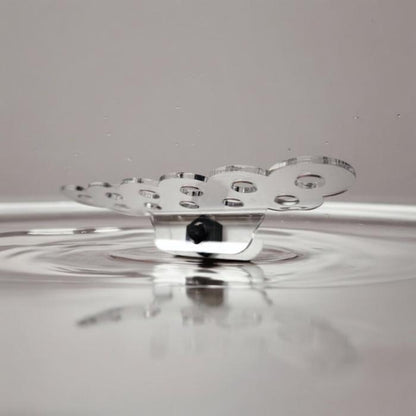 Aquakallax ReefDeck für elf Korallenplugs in Bubble-Form in der Frontansicht mit transparenter Ablage und schwarzem Magnethalter