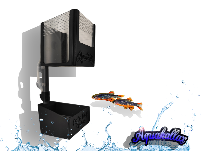 Aquakallax Safe-Bay Laichsammler mit Luftheber, unterer Laichkammer und oberer Sammelkammer neben zwei Perlhuhnbärblingen auf einer Produktgrafik