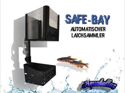 Aquakallax Safe-Bay automatischer Laichsammler mit unterer Laichkammer, Steigrohr und oberer Sammelkammer auf einer Produktgrafik