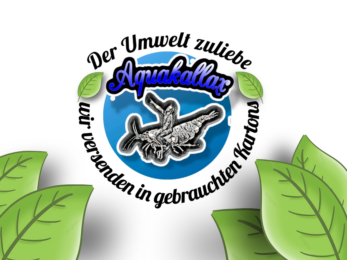 Aquakallax versendet der Umwelt zuliebe in wiederverwendeten Kartons