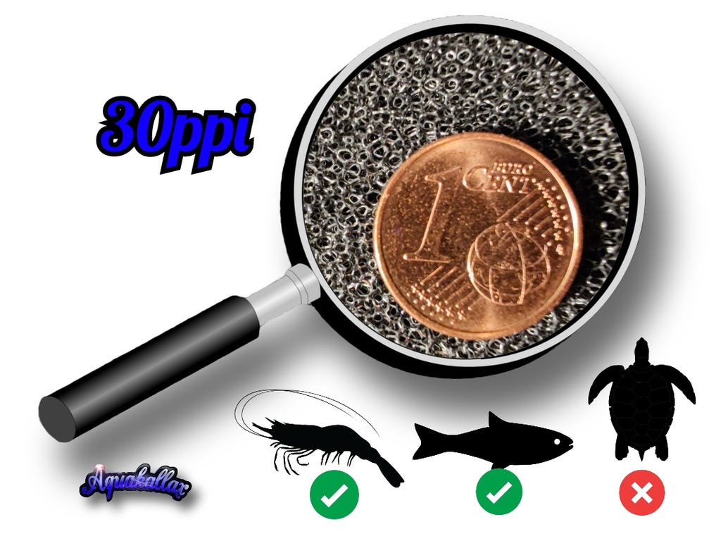 Porenstruktur der Classic-HMF-Ersatzmatte mit 30 ppi, Ein-Cent-Münze als Größenvergleich und Symbolen für Garnelen und Fische
