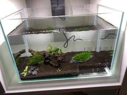 Die Futterecke - gehört in jedes Aquarium