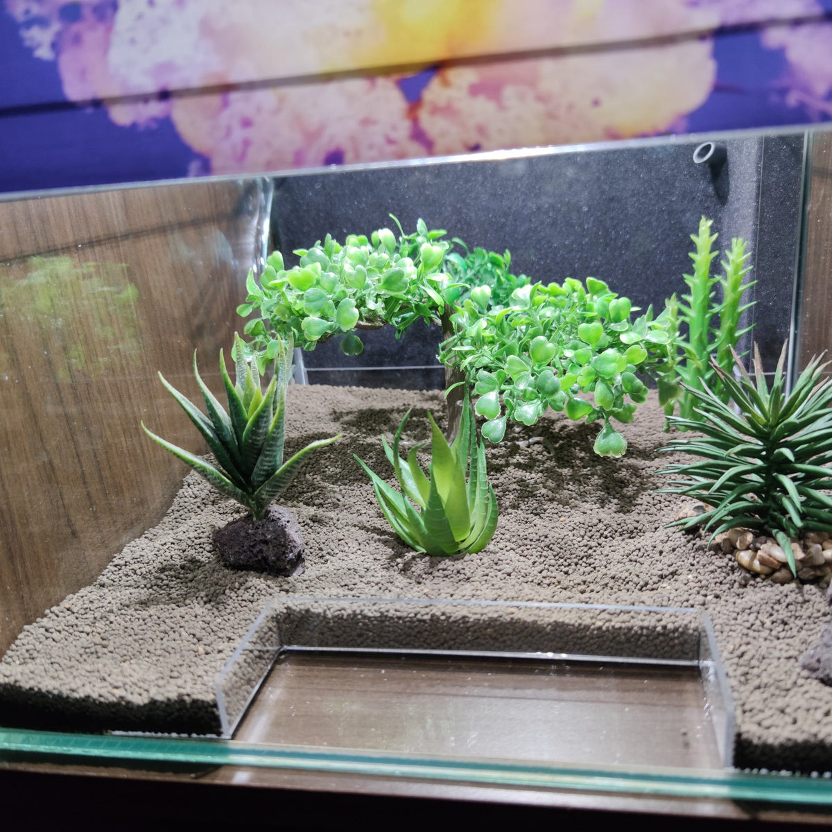 Futterplatz im Aquarium