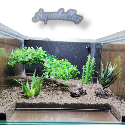 Futterplatz im Aquarium