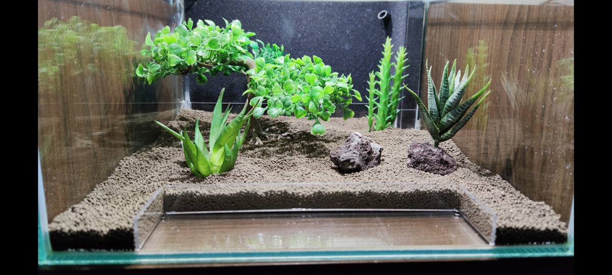 Futterplatz im Aquarium