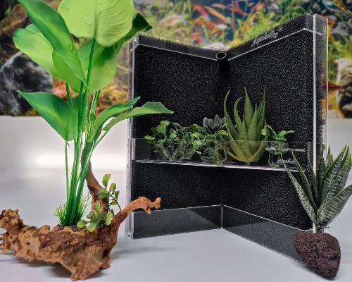 Aquakallax Konkav Mattenfilter mit grünen Pflanzen auf der transparenten Pflanzterrasse, umgeben von einer hohen Pflanze auf Wurzelholz und einer Pflanze auf einem Stein.