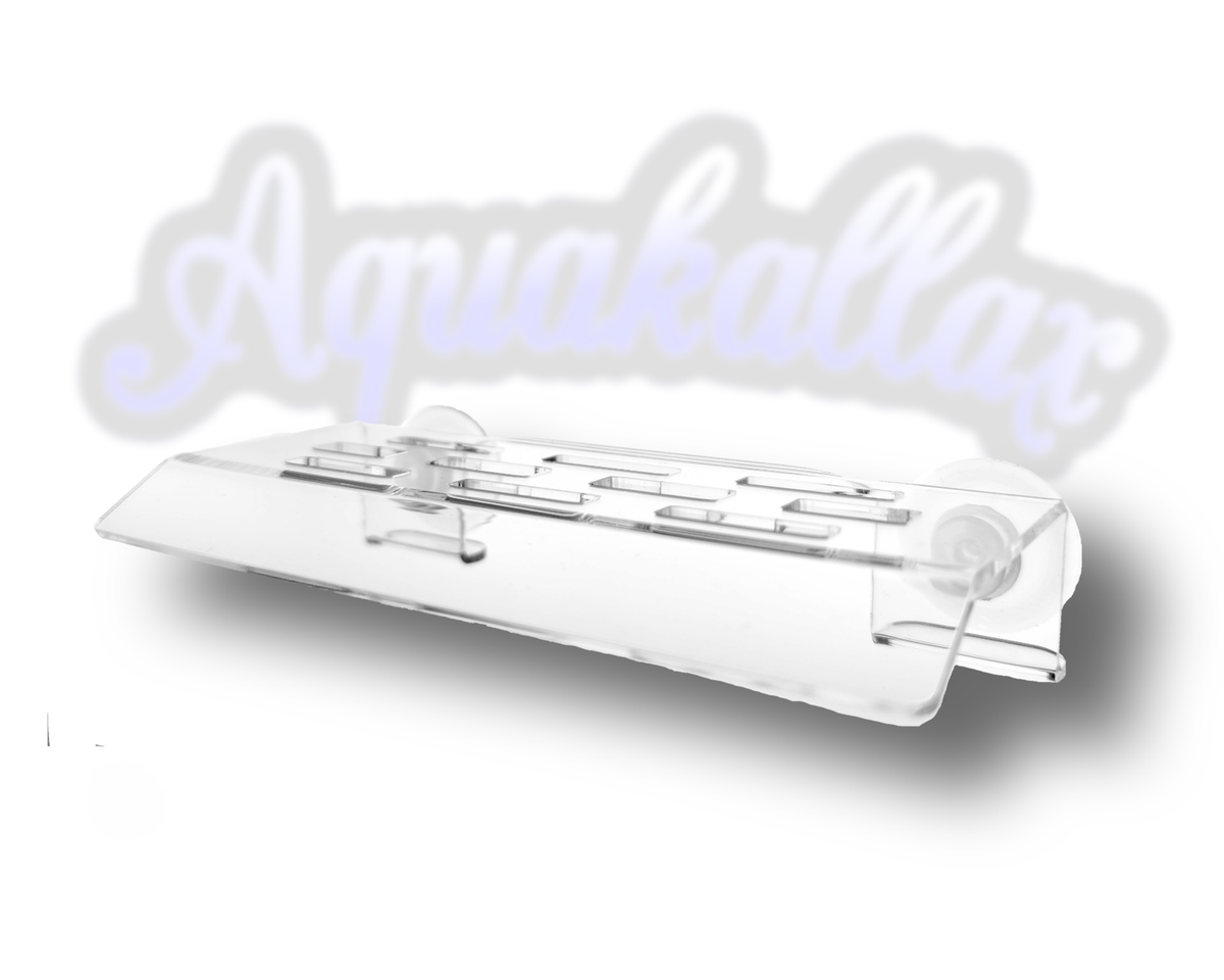 Leerer transparenter Aquakallax Schneckenbalkon mit rechteckigen Öffnungen und zwei Saugnäpfen in Produktansicht
