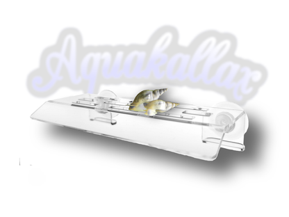 Aquakallax Schneckenbalkon mit zwei Schnecken auf der transparenten Plattform vor dem Aquakallax-Schriftzug